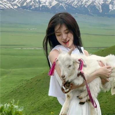 爱情无价